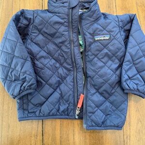 Patagonia Green and Navy Kids Jacket Lined with Fun Hogs Print